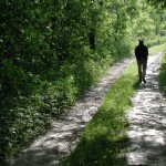 日本語の美しい約束事。「いってきます」きちんと言えてる？