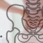 骨盤とココロの関係