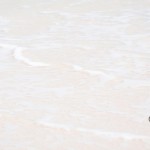 分かち合いの精神をもつとき、神と分かち合っている。そんな考え方をシェアをしよう。