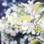 もっと好きにやっていいんだよ。もう２、３歩踏み込んでも大丈夫なようにできてるから