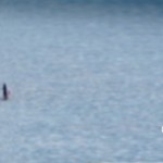 失敗に対する心構え。あなたはいつだって、ベストを尽くしています。