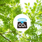 省エネ！環境にやさしい買い物　－その1　カーボンフットプリント－