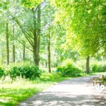 心も体も健やかに