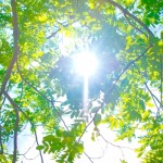 ５月のオススメはゆったり “フロー” 〜そのワケは…