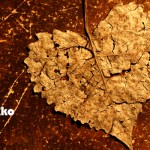 人に優しくできる強さ