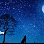 眠れぬ夜に 〜呼吸と睡眠〜