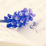 音楽のBPMを利用して、自律神経を整えよう！