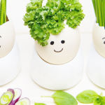 お腹が鳴るのは腸内掃除スタートの合図