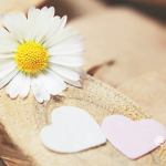 少しずつ、できるところから「ありがとう」を思う