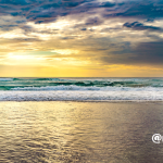 自然からの贈り物を感じてみる