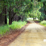 3つの小さな目標