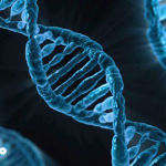 最高の食事法　その２