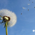 ぷち漢方ライフ～そわそわする日はストレッチ！