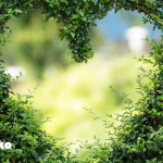 ヨガの世界から見る「愛」