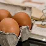 栄養学のお話　～たんぱく質～