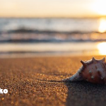 ぷち漢方ライフ～夏こそお腹を温めよう