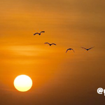 Dear 身体を動かす私へ！～呼吸と運動～