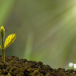 学ぶことを諦めたくない