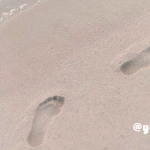 選択の軌跡と奇跡