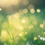 地球の温もりに触れる