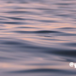 湿気で暑い季節に -じっくり味わうアサナ-