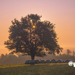 同じ内容のクラス ー その楽しみ方♪ー