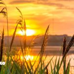寒い日の朝に-朝ヨガのすすめ-