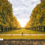 シンメトリーの重要性～姿勢と身体の整え～