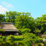 Japanese Spirit！ – yogakko selection –