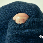 寒さ本番！ぬくぬくアイテム特集 – yogakko selection –