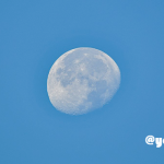 五感を研ぎ澄まし、心と身体のバランスを整える