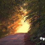 「ストレス＝悪」ではない⁉ 成長を促すその力とは